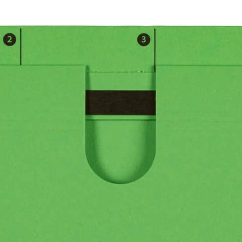 Elba - Hängehefter chic ULTIMATE® - Karton (RC), 240 g/qm, A4, grün