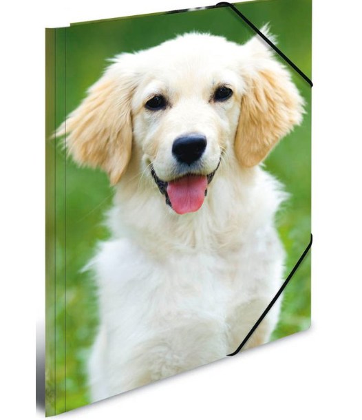 Herma - Sammelmappe A4 -  Hunde mit Gummizug