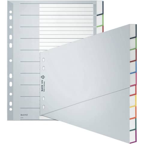 LEITZ - Plastikregister Blanko, A4, schräg, PP, 10 Blatt, grau