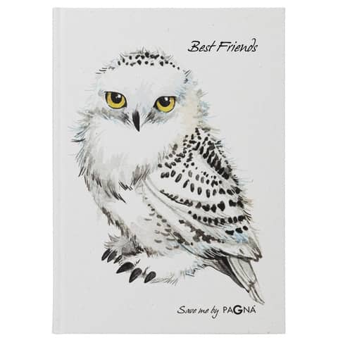Pagna® - Freundebuch Save me No.2 - Eule, 60 Seiten