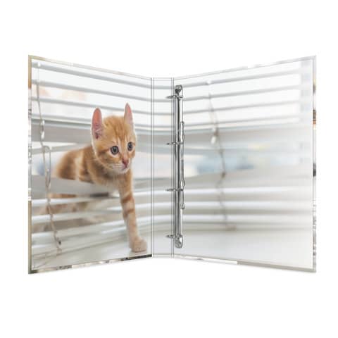 Herma - Ringbuch Katzen - A4, 4-D-Ring Ø25 mm 