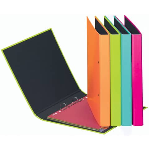 Pagna® - Ringbuch Trend Colours - A5, 2 Ring, Ring-Ø 20mm, farbig sortiert, 12 Stück