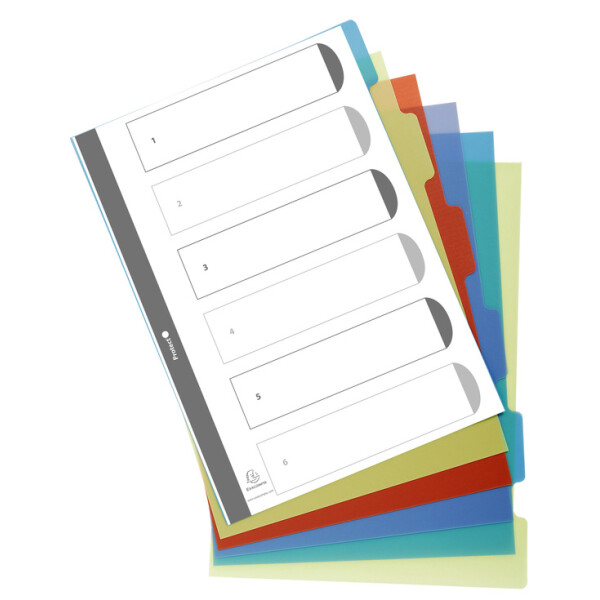 EXACOMPTA - Kunststoff-Register Forever, blanko, DIN A4, 12-teilig, PP